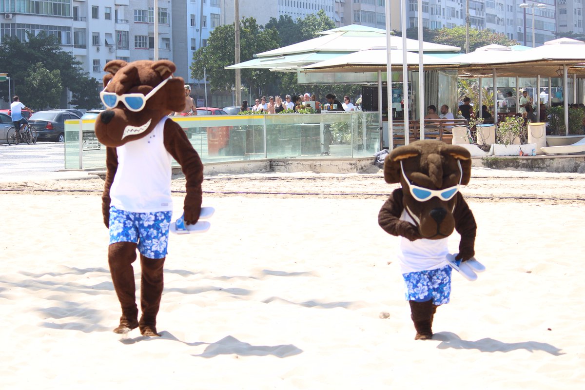 Torcida do Flamengo prepara mosaico, e mascotes do Cruzeiro vão à praia antes de final