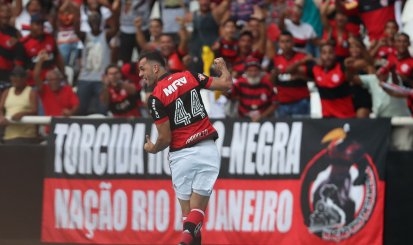 Fla vence Botafogo em jogo com gol irregular e expulsão de Vinicius Jr.