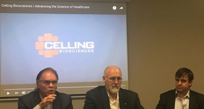 Clubes brasileiros são procurados por médicos norte-americanos para tratar lesões com células-tronco