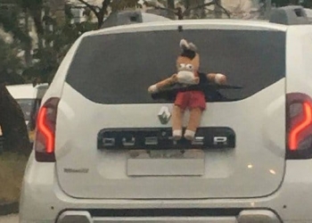 'Segue o líder': torcedor do Flamengo gruda cavalinho do 'Fantástico' na traseira do carro