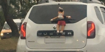 'Segue o líder': torcedor do Flamengo gruda cavalinho do 'Fantástico' na traseira do carro
