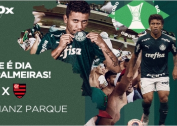 Palmeiras faz postagem ‘anunciando’ que jogará na tarde de hoje contra o Flamengo e agita as torcidas