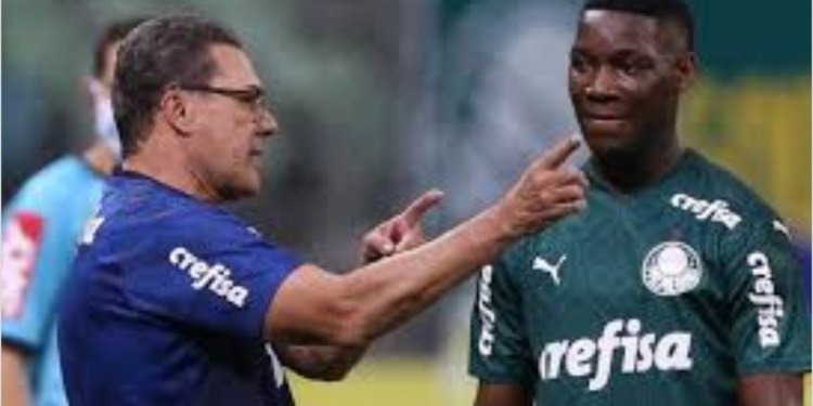 Palmeiras entra em campo para vencer o Flamengo, mas acaba virando piada e é humilhado