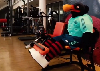 Novo mascote do Flamengo vira deboche dos rivais nas redes sociais: ‘Urubu Daronco?’