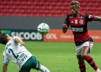 Jornalista compara decisão entre Flamengo e Palmeiras com clássico entre Barcelona e Real Madrid