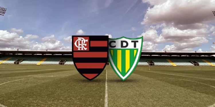 Filial do Flamengo na Europa deve conseguir vaga à Uefa Champions League aumentando patrimônio em R$ 150 milhões
