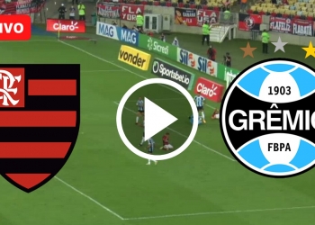 Flamengo x Grêmio: link para assistir ao vivo e de forma gratuita pela internet | 21ª rodada do Campeonato Brasileiro de 2021