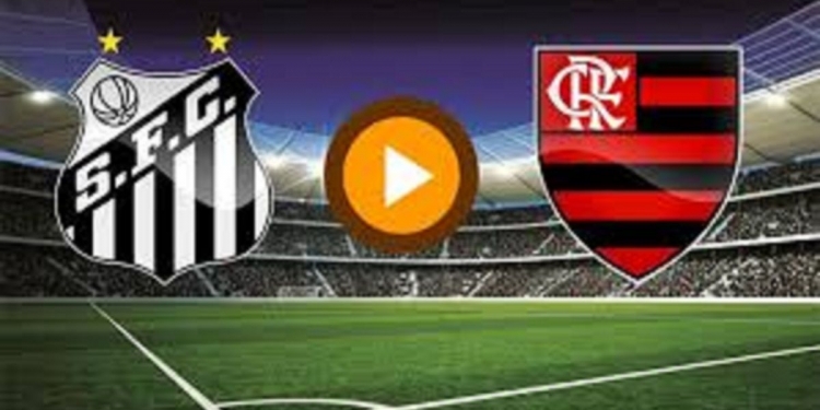 Santos x Flamengo: link para assistir ao vivo e de graça pela internet | 15ª rodada do Campeonato Brasileiro de 2022