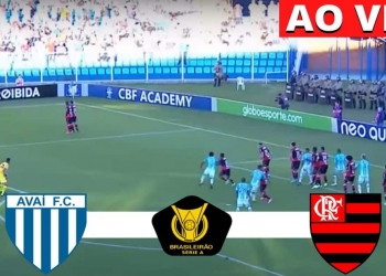 Avaí x Flamengo: link para assistir ao vivo e de graça pelo YouTube | 19ª rodada do Campeonato Brasileiro de 2022