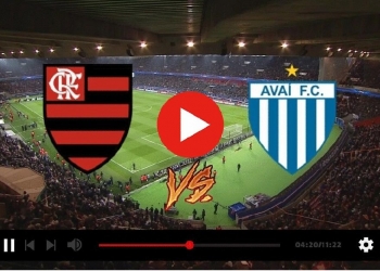 Flamengo x Avaí: link para assistir ao vivo e de graça pela internet | 38ª rodada do Campeonato Brasileiro de 2022